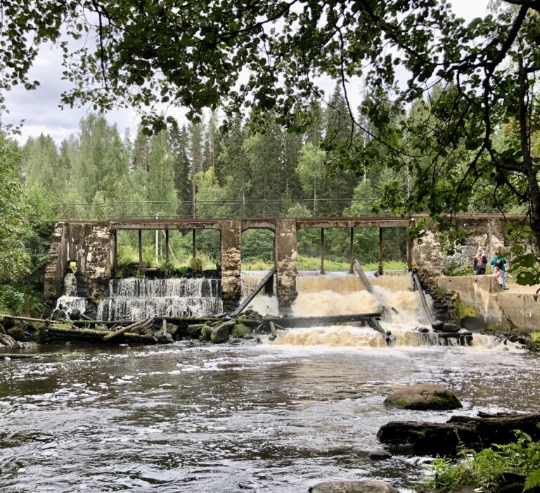 Viimeinkin Vuokselaan