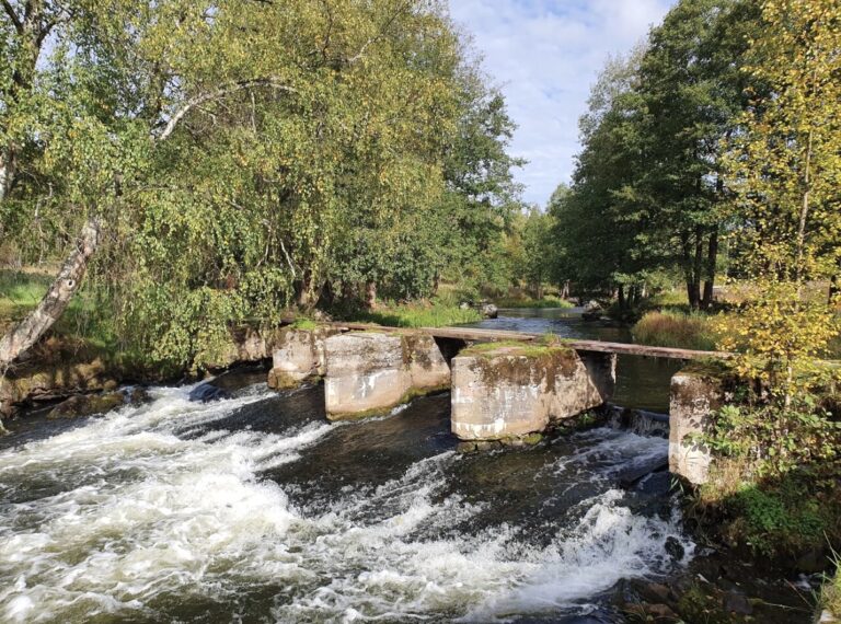 Viikonloppu ilman raivaussahaa 